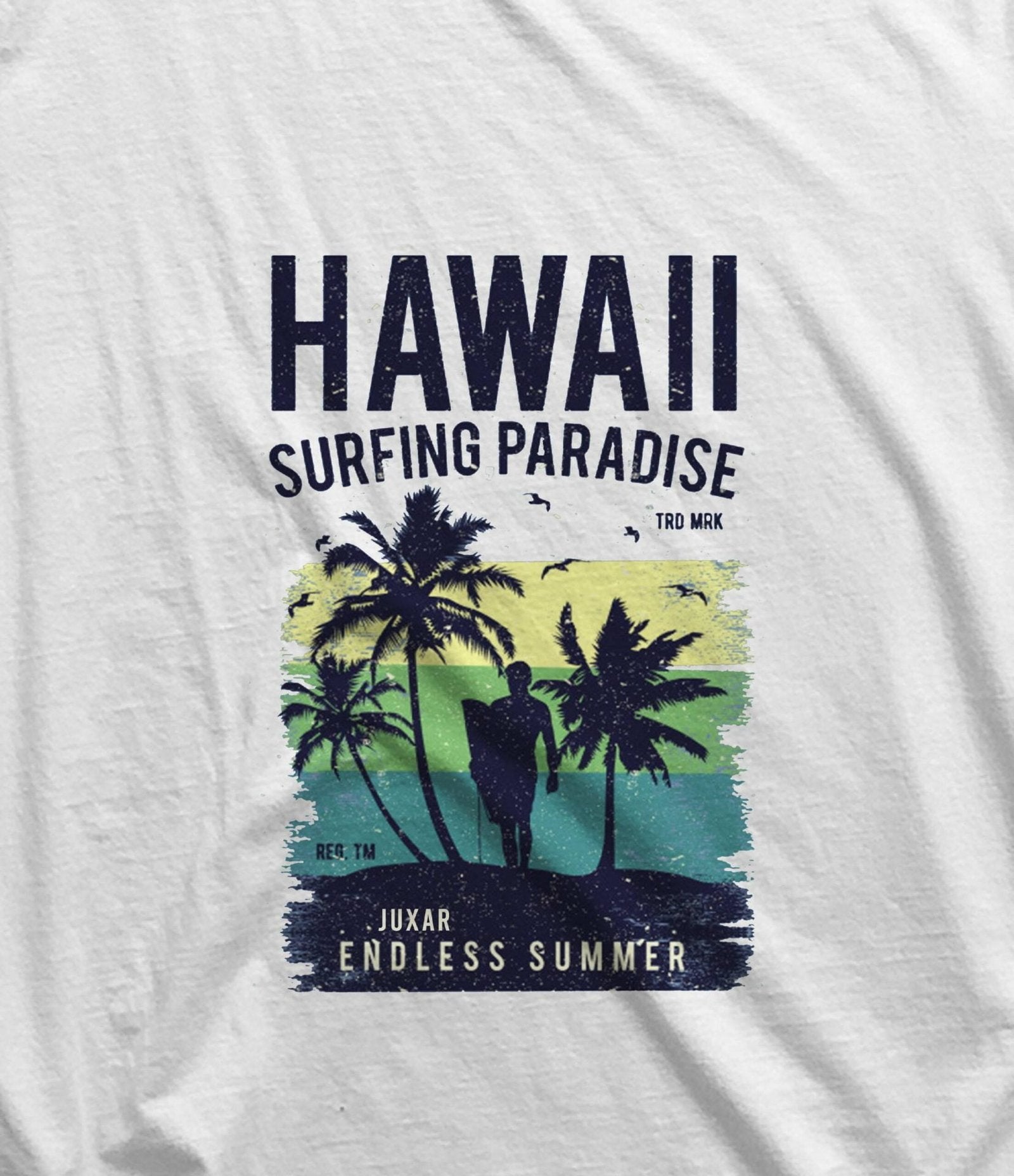 HAWAII SURFING - SANDO